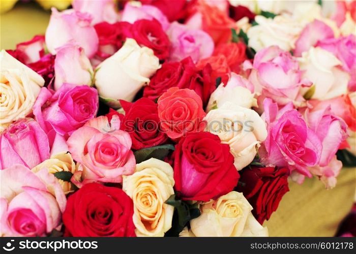 Assorted colorful roses background. Beautiful, high quality, good for holidays, valentines&rsquo;s gift.