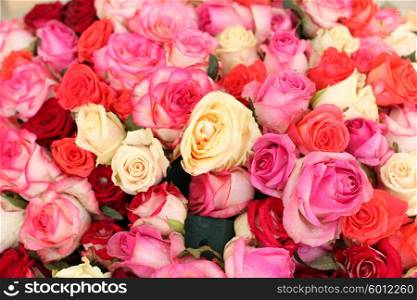 Assorted colorful roses background. Beautiful, high quality, good for holidays, valentines&rsquo;s gift.