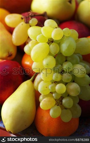 assorted fresh fruits closeup