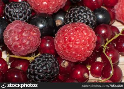 Assorted from ripe fresh juicy summer berries