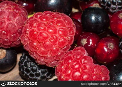 Assorted from ripe fresh juicy summer berries