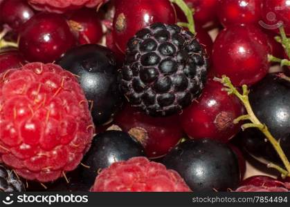 Assorted from ripe fresh juicy summer berries