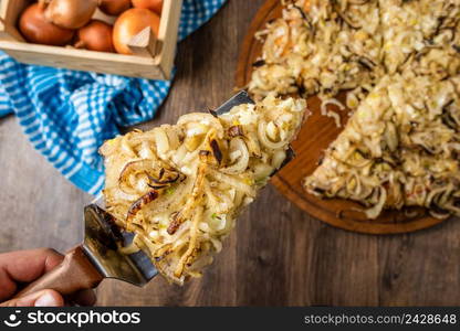 Assorted handmade Argentinian pizza on stone background