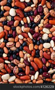 Assorted mix of various loose dry beans