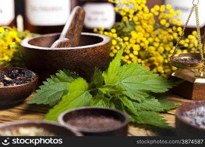 Assorted natural medical herbs and mortar