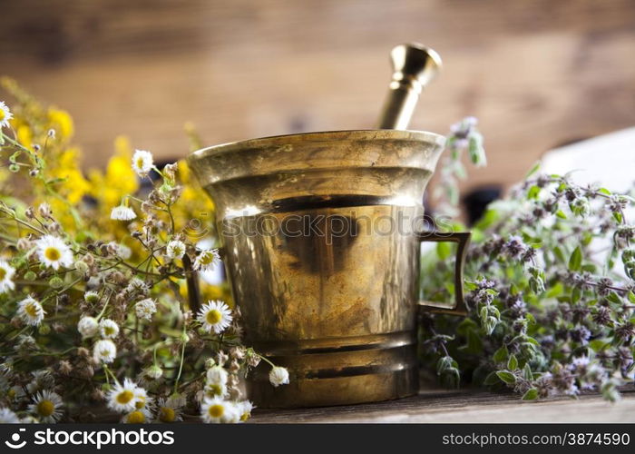 Assorted natural medical herbs and mortar