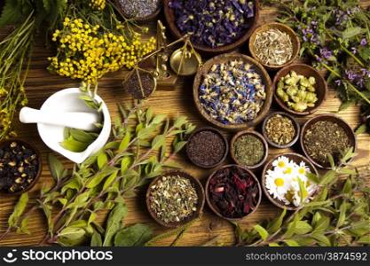 Assorted natural medical herbs and mortar