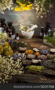 Assorted natural medical herbs and mortar on wooden table backgr. Herbs, berries and flowers with mortar, on wooden table background