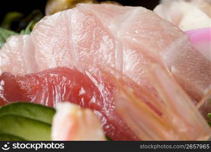 Assorted sashimi on rice