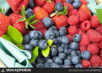 Assorted seasonal berries including blueberry, strawberry and raspberry. Berries