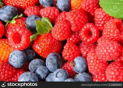 Assorted seasonal berries including blueberry, strawberry and raspberry. Berry Closeup