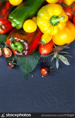 Assorted tomatoes and vegetables isolated on dark background. 