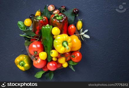 Assorted tomatoes and vegetables isolated on dark background. 