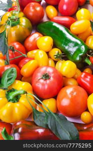 Assorted tomatoes and vegetables isolated on white background. Photo for your design