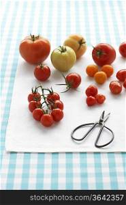 Assorted tomatoes on table
