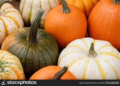 Assortiment of autumn harvested pumpkins in a heap background , Halloween holiday concept. Assortiment of pumpkins background