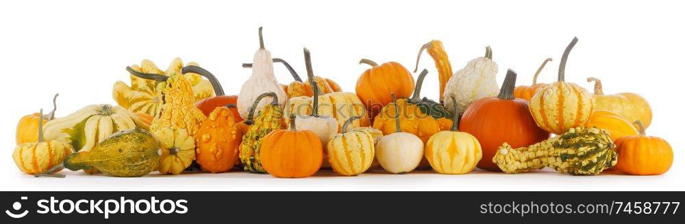 Assortiment of autumn harvested pumpkins in a heap isolated on white background , Halloween holiday concept. Assortiment of pumpkins on white