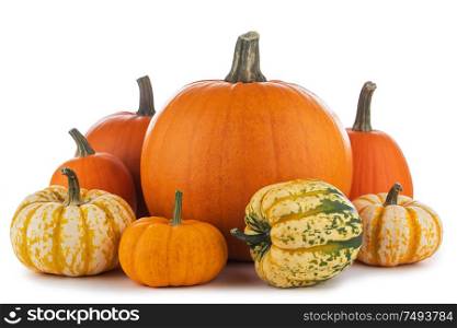 Assortiment of autumn harvested pumpkins in a heap isolated on white background , Halloween holiday concept. Assortiment of pumpkins on white