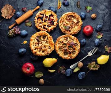 Assortment of autumn fruit pie or tartlet.Pie baked of apples,pears,grapes and plums.Top view. Assortment of autumn fruit pie