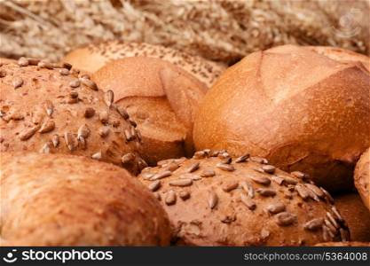 Assortment of breads and ears bunch still life on rustic background