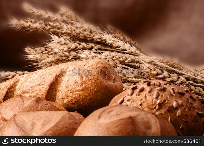 Assortment of breads and ears bunch still life on rustic background