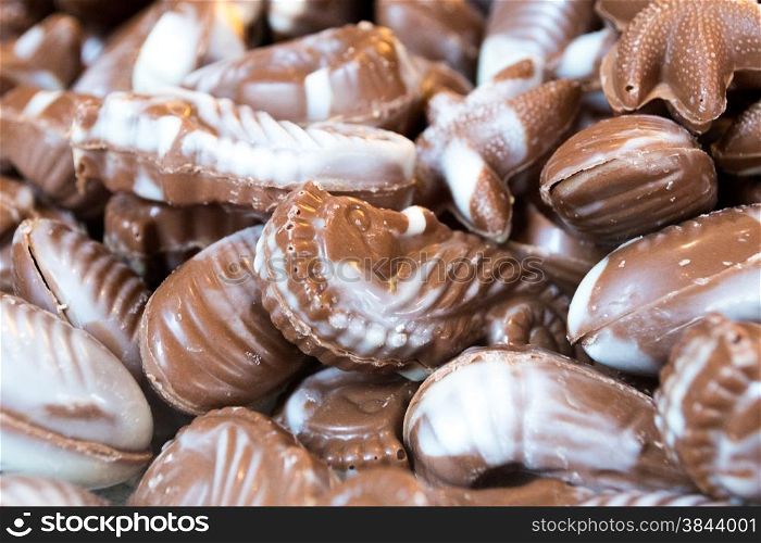 Assortment of Chocolate Paline Sea Creatures