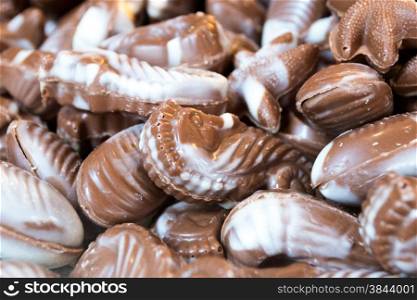 Assortment of Chocolate Paline Sea Creatures