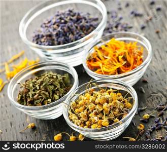 Assortment of dry medicinal herbs in glass bowls