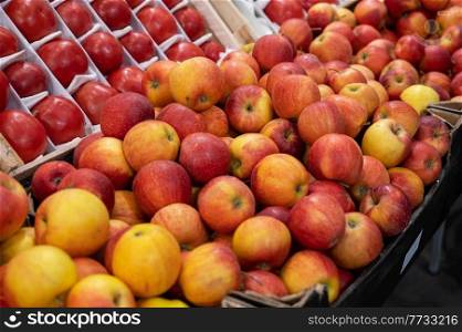 Assortment of fresh fruits at market. Assortment of fresh fruits