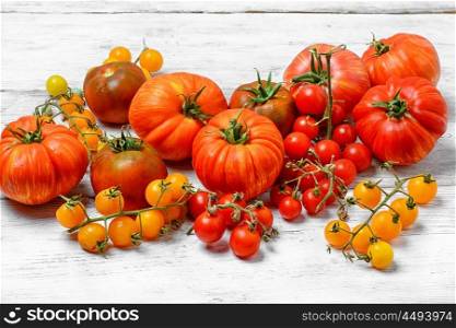 Assortment of fresh tomatoes. Tomatoes of different varieties plucked from the garden