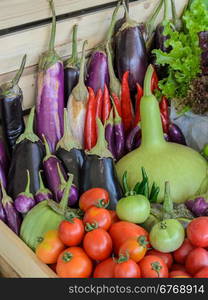 Assortment of fresh vegetable (purple egg plant, tomato, Thai eggplant, bottle gourd, red hot chili and tomato) in wooden box