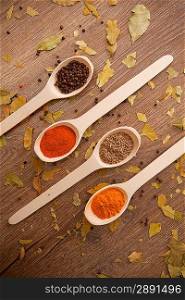 Assortment of spices in the spoons for prepare tasty food in the wooden background