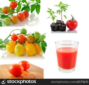 assortment of tomato vegetables and tomato juice