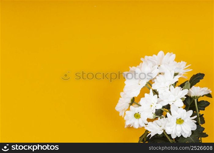 assortment white flowers with copy space