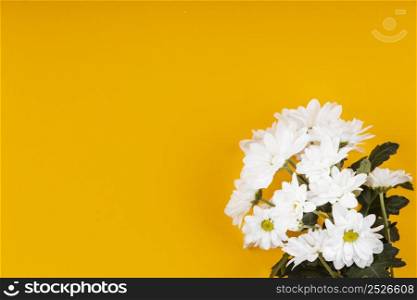 assortment white flowers with copy space