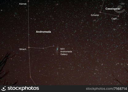 Astro Photo: Starfield with Andromeda Galaxy