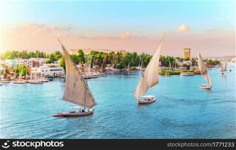 Aswan, Nile River scenery with famous sailboats, Egypt.. Aswan, Nile River scenery with famous sailboats, Egypta