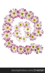 At Sign Made Of Pink And White Daisies
