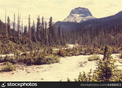 Athabasca River in Jasper National Park