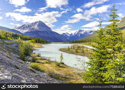 Athabasca river winding its way through the Canadian Rockies, Alberta