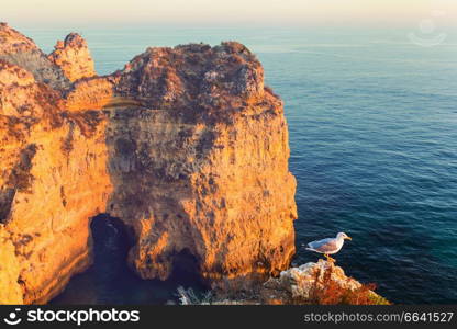 Atlantic ocean coast in Portugal