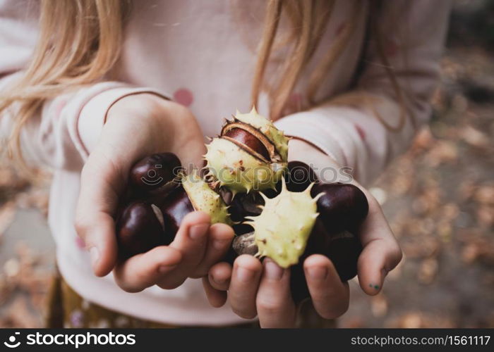 atmospheric autumn wallpaper. girl holding chestnuts