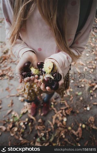 atmospheric autumn wallpaper. girl holding chestnuts