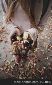 atmospheric autumn wallpaper. girl holding chestnuts