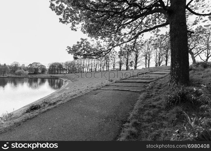 Atmospheric scene of pond, tree and footpath in black and white at Inverleith Park in Edinburgh, Scotland, on a spring afternoon