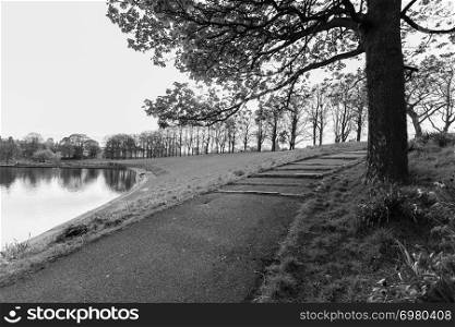 Atmospheric scene of pond, tree and footpath in black and white at Inverleith Park in Edinburgh, Scotland, on a spring afternoon