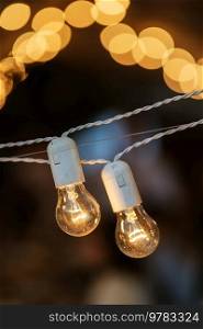 atmospheric warm light bulbs wrapped in garlands to decorate the holiday