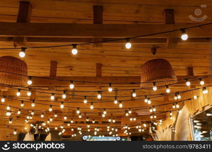 atmospheric warm light bulbs wrapped in garlands to decorate the holiday