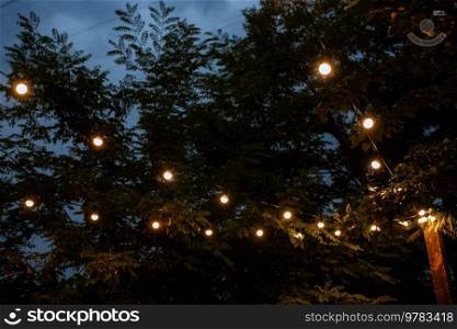 atmospheric warm light bulbs wrapped in garlands to decorate the holiday