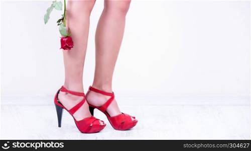 Attractive beautiful model woman holds red rose over her leg with isolated on white background.Concept photography